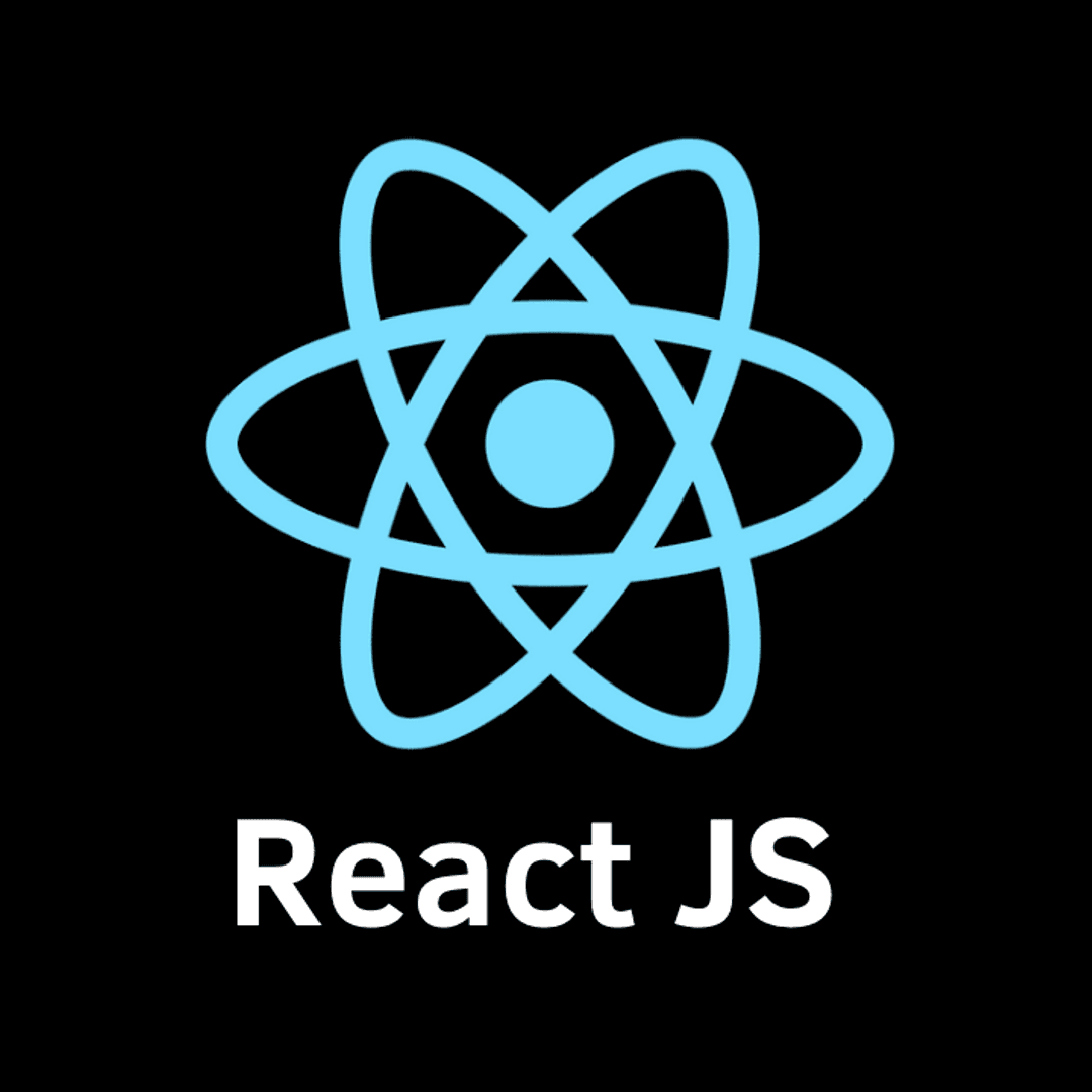 React/Next.js technology used by Dokapexon for software development